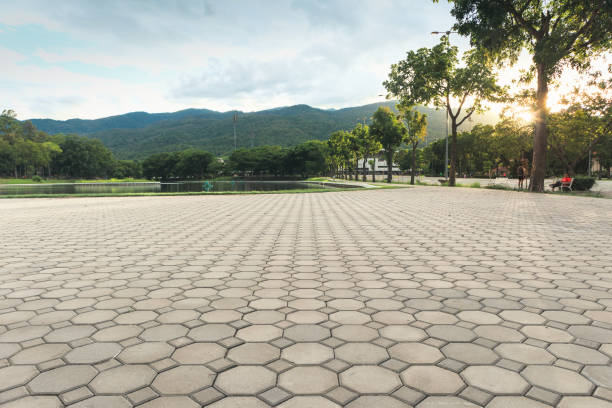 Professional Driveway Pavers in Alamosa, CO
